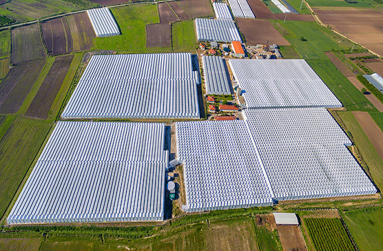 01 Sera Tesisleri V3